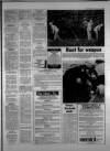 Torbay Express and South Devon Echo Monday 04 January 1982 Page 29