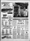 Torbay Express and South Devon Echo Monday 03 January 1983 Page 19