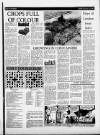 Torbay Express and South Devon Echo Saturday 26 February 1983 Page 13