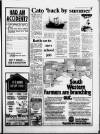 Torbay Express and South Devon Echo Friday 03 February 1984 Page 11
