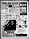 Torbay Express and South Devon Echo Friday 02 March 1984 Page 13