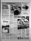 Torbay Express and South Devon Echo Friday 04 January 1985 Page 17
