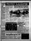 Torbay Express and South Devon Echo Wednesday 04 February 1987 Page 27