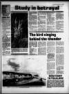 Torbay Express and South Devon Echo Tuesday 07 July 1987 Page 11