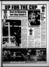 Torbay Express and South Devon Echo Monday 11 January 1988 Page 19