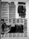 Torbay Express and South Devon Echo Saturday 19 March 1988 Page 15