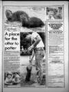 Torbay Express and South Devon Echo Thursday 06 July 1989 Page 39