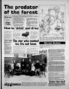 Torbay Express and South Devon Echo Tuesday 13 February 1990 Page 29