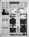 Torbay Express and South Devon Echo Friday 24 August 1990 Page 15