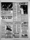 Torbay Express and South Devon Echo Saturday 15 December 1990 Page 19