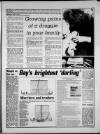 Torbay Express and South Devon Echo Tuesday 02 April 1991 Page 11
