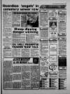 Torbay Express and South Devon Echo Saturday 07 September 1991 Page 17