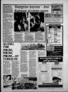Torbay Express and South Devon Echo Friday 03 July 1992 Page 19