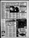 Torbay Express and South Devon Echo Friday 14 August 1992 Page 19