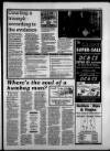 Torbay Express and South Devon Echo Friday 01 January 1993 Page 15