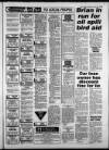 Torbay Express and South Devon Echo Wednesday 13 January 1993 Page 25