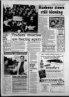 Torbay Express and South Devon Echo Thursday 14 January 1993 Page 15