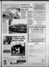 Torbay Express and South Devon Echo Friday 05 February 1993 Page 41
