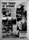 Torbay Express and South Devon Echo Thursday 01 April 1993 Page 33