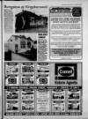 Torbay Express and South Devon Echo Friday 04 June 1993 Page 29