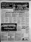 Torbay Express and South Devon Echo Friday 15 October 1993 Page 47