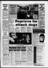 Torbay Express and South Devon Echo Wednesday 02 February 1994 Page 3