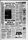 Torbay Express and South Devon Echo Wednesday 02 February 1994 Page 29