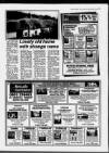 Torbay Express and South Devon Echo Friday 25 March 1994 Page 40