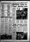 Torbay Express and South Devon Echo Tuesday 03 January 1995 Page 31