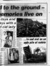 Torbay Express and South Devon Echo Thursday 05 January 1995 Page 17