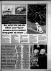 Torbay Express and South Devon Echo Tuesday 07 February 1995 Page 41