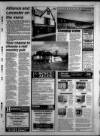 Torbay Express and South Devon Echo Wednesday 05 April 1995 Page 41