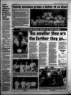 Torbay Express and South Devon Echo Saturday 08 July 1995 Page 31