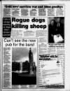 Torbay Express and South Devon Echo Saturday 07 September 1996 Page 7