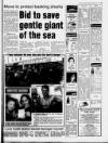 Torbay Express and South Devon Echo Monday 03 February 1997 Page 19