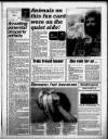 Torbay Express and South Devon Echo Wednesday 03 September 1997 Page 15