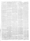 Gravesend Reporter, North Kent and South Essex Advertiser Saturday 20 February 1869 Page 3