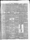 Gravesend Reporter, North Kent and South Essex Advertiser Saturday 06 June 1874 Page 3