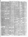 Gravesend Reporter, North Kent and South Essex Advertiser Saturday 13 March 1875 Page 5