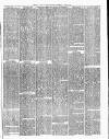 Gravesend Reporter, North Kent and South Essex Advertiser Saturday 21 August 1875 Page 3