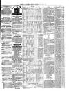 Gravesend Reporter, North Kent and South Essex Advertiser Saturday 01 September 1877 Page 7