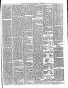 Gravesend Reporter, North Kent and South Essex Advertiser Saturday 22 June 1878 Page 5