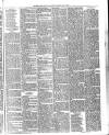 Gravesend Reporter, North Kent and South Essex Advertiser Saturday 08 May 1880 Page 3