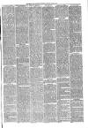 Gravesend Reporter, North Kent and South Essex Advertiser Saturday 16 June 1883 Page 3