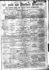 Gravesend Reporter, North Kent and South Essex Advertiser Saturday 03 January 1885 Page 1
