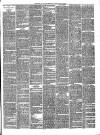 Gravesend Reporter, North Kent and South Essex Advertiser Saturday 16 March 1889 Page 3