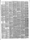 Gravesend Reporter, North Kent and South Essex Advertiser Saturday 03 May 1890 Page 3