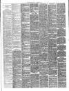 Gravesend Reporter, North Kent and South Essex Advertiser Saturday 20 December 1890 Page 3