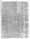 Gravesend Reporter, North Kent and South Essex Advertiser Saturday 31 January 1891 Page 5