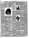 Gravesend Reporter, North Kent and South Essex Advertiser Saturday 14 November 1891 Page 3